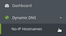 no-ip hostnames