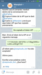 Pegamos el token de nuestro bot en manybot